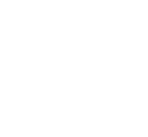verifacturae